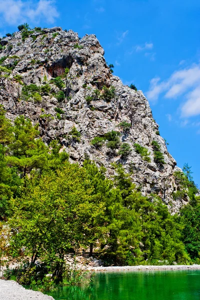 野生の山の峡谷 — ストック写真