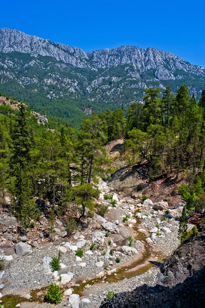 Vahşi dağ Kanyonu — Stok fotoğraf