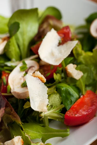 Closeup salát s parmazánem — Stock fotografie