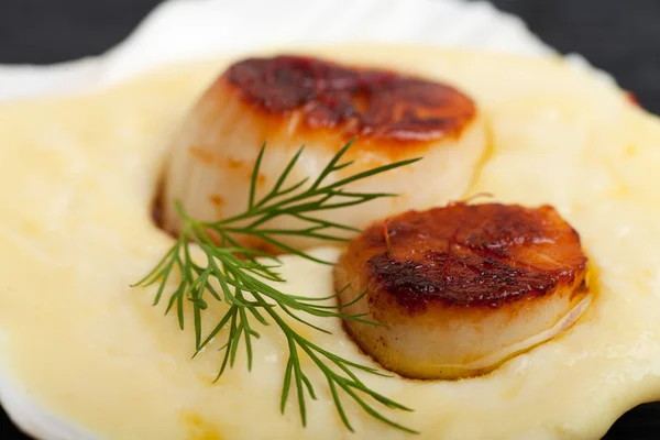 stock image Grilled scallops in their shell on a black placemat
