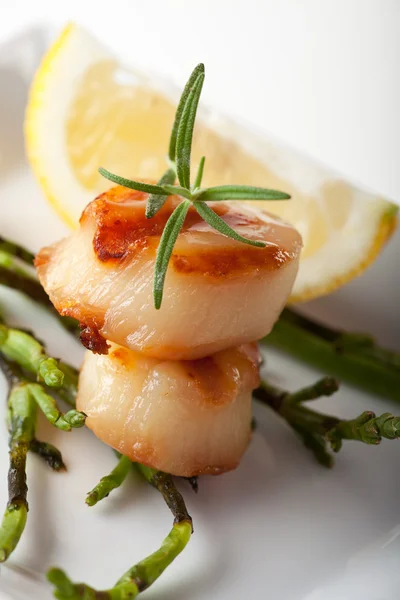 Closeup Two Grilled Scallops — Stock Photo, Image