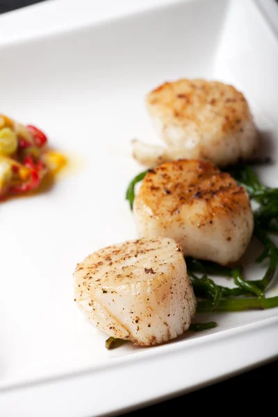 Three grilled scallops on a white plate with seaweed — Stock Photo, Image