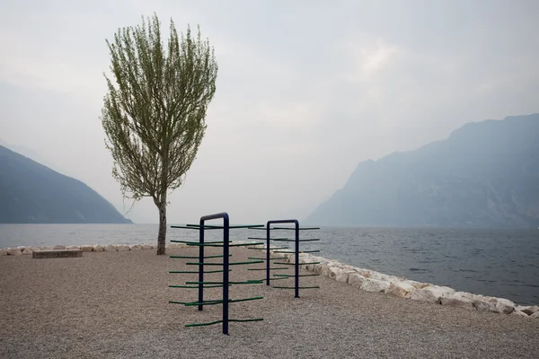 Sakin bir günde İtalya garda Gölü üzerinde tek ağaç