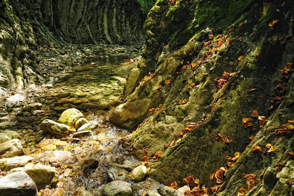 Autunno montagna piccolo fiume — Foto Stock