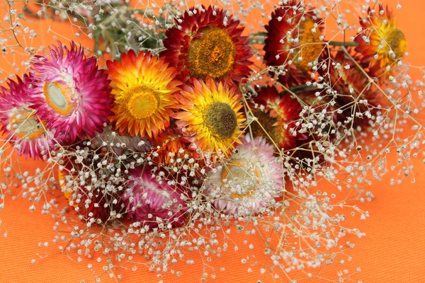 Colored Bouquet Flowers Orange Dried Flowers Snow Design Bouquet Forever — Stock Photo, Image