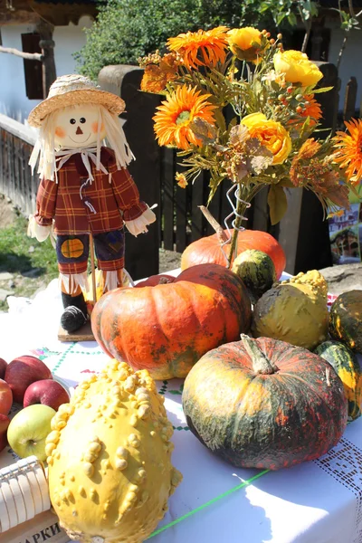 stock image Gifts of nature, folk festival, open-air museum, fruits and vegetables, autumn exhibition, handmade doll, autumn flowers in the village