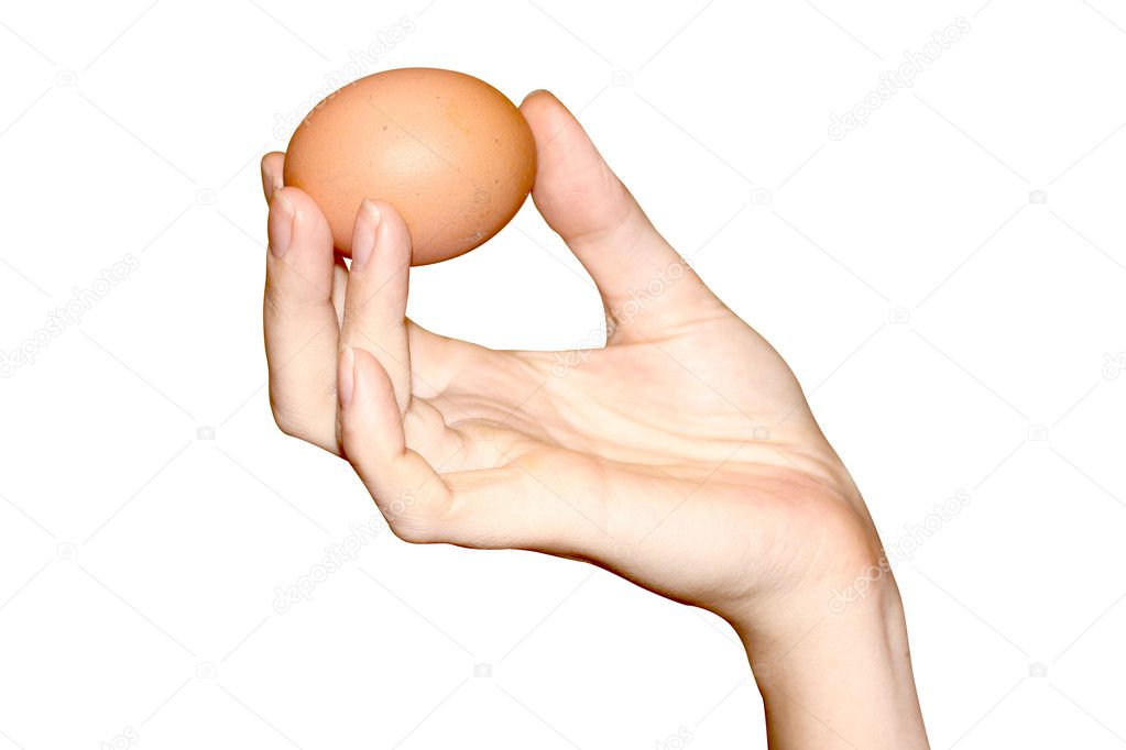 One egg in hand on white background