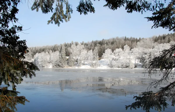 stock image Winter wonderland