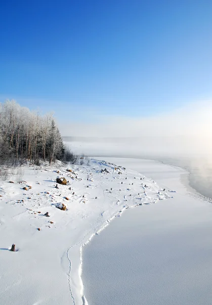 冬のワンダーランド — ストック写真