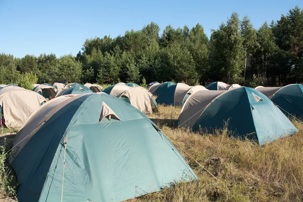 stock image Camping. Many tents.