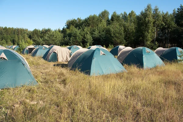 stock image Camping on a field. Many tents. Nobody. Summer.