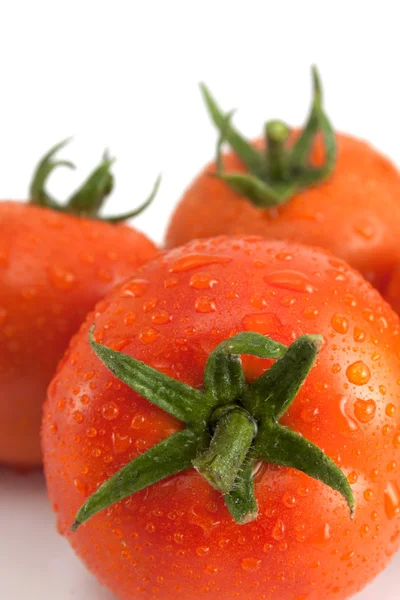 Drei Tomaten mit Wassertropfen — Stockfoto