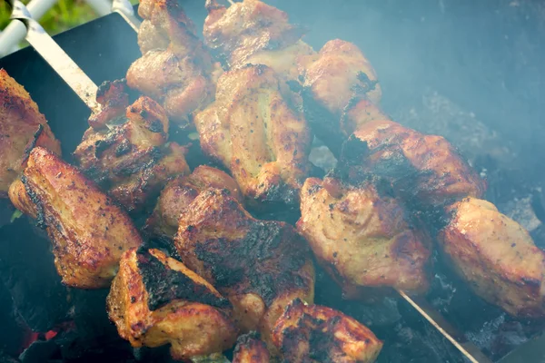 stock image Shashlik from pork