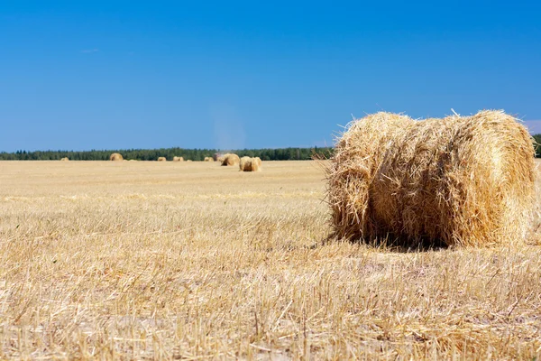 Buğday Haystacks Hasattan Sonraki Yaz Arka Plan — Stok fotoğraf
