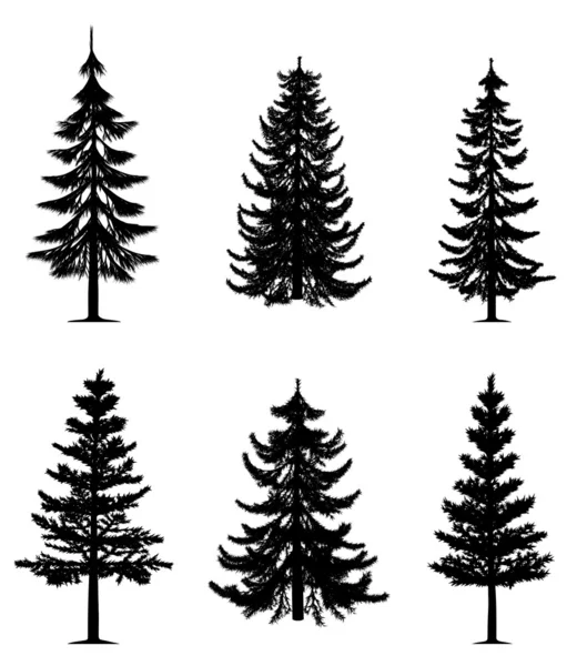 Pine trees collection — Stock Vector