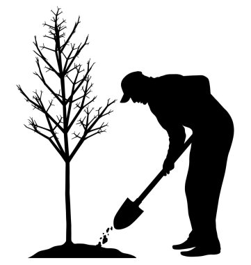 Planting a tree clipart