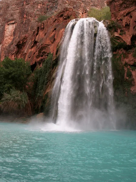 Stock image Grand Canyon Paradise