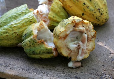 kakao bölmeyi açın