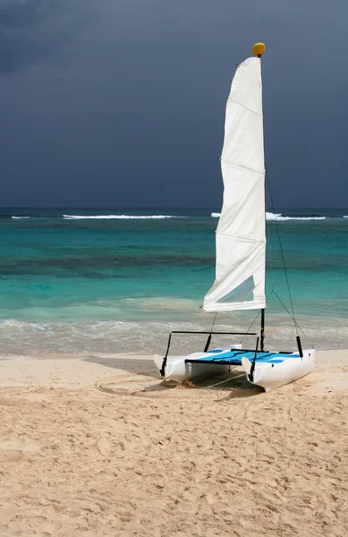 Small Tropical Catamaran — Stock Photo, Image