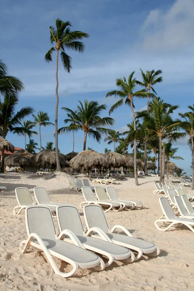 Řada plážových židlí — Stock fotografie