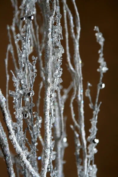 Icy Branch Decoration — Stock Photo, Image