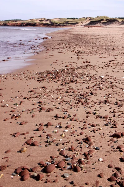 Kamyki plaży Pei — Zdjęcie stockowe
