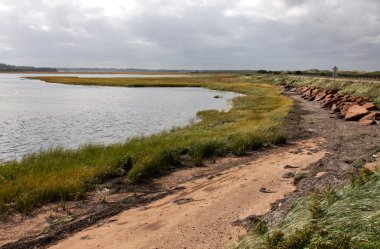 bay covehead limanında