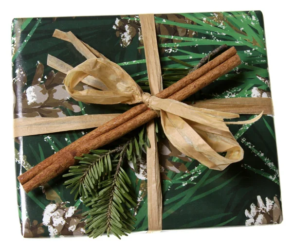 Een Prachtig Verpakt Kerstcadeau Met Groen Papier Kaneel Sparren Branch — Stockfoto