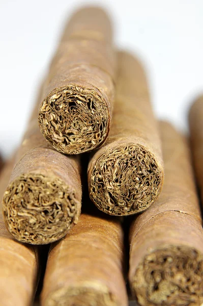stock image A row of authentic Cuban cigars.