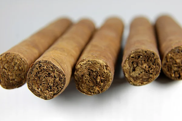 stock image A row of authentic Cuban cigars.