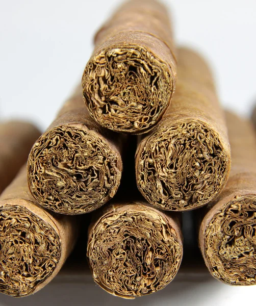 stock image Cigar Pile