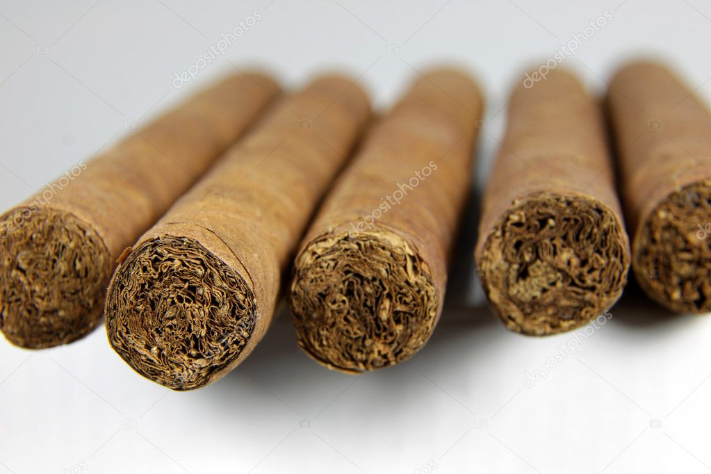 A row of authentic Cuban cigars.