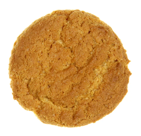 Gingersnap Cookie Isolated White — Stock Photo, Image