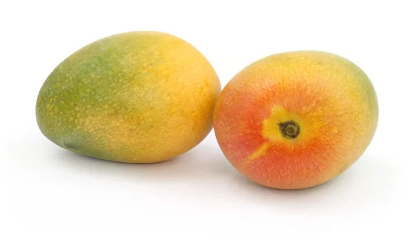 Frutos aislados de mango — Foto de Stock