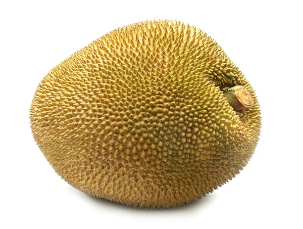 Jackfruit gigant — Zdjęcie stockowe