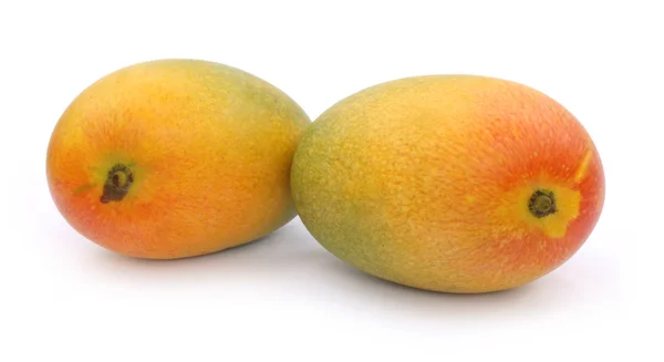 Twee mango 's — Stockfoto