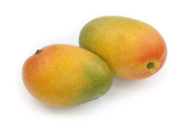 Dojrzałe mango — Zdjęcie stockowe