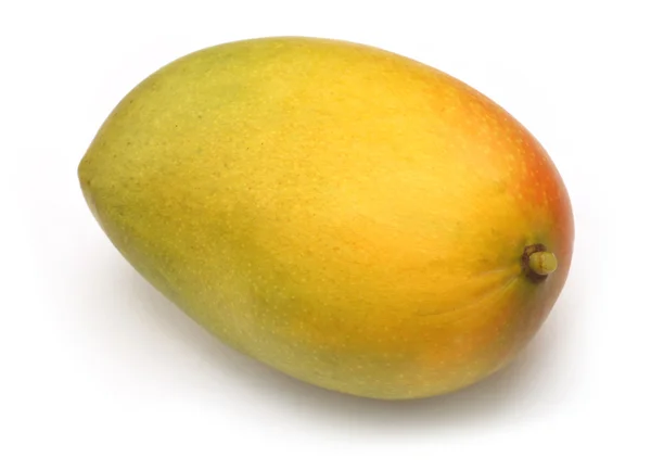 Verse rijpe mango — Stockfoto