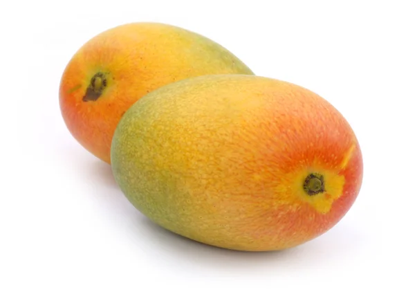 Δύο φρούτα φρέσκα μάνγκο — Φωτογραφία Αρχείου