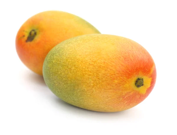 Twee verse rijpe mango 's — Stockfoto