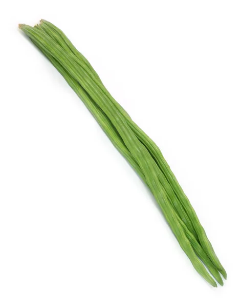 Oleander-Moringa — Stockfoto