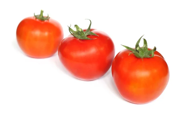 stock image Tomato