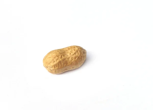 Einzelne Erdnuss — Stockfoto