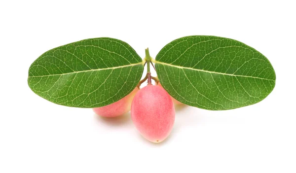 Purpurrote Früchte Karamcha — Stockfoto