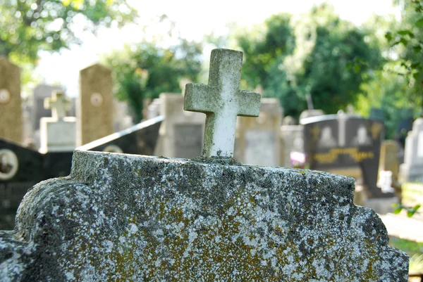 Stock image Old graveyard