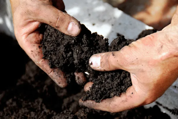 What Is The Best Type Of Soil For Gardening Learn In Best 5 Steps.