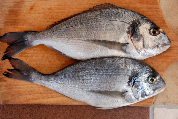 Dvě ryby pražma — Stock fotografie
