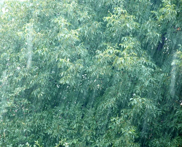 Giorno di pioggia — Foto Stock