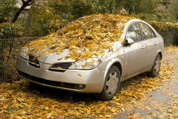 stock image Autumn urban landscape