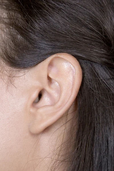 stock image Closeup of young caucasian woman ear